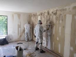 Best Mold Prevention Services  in Harker Heights, TX